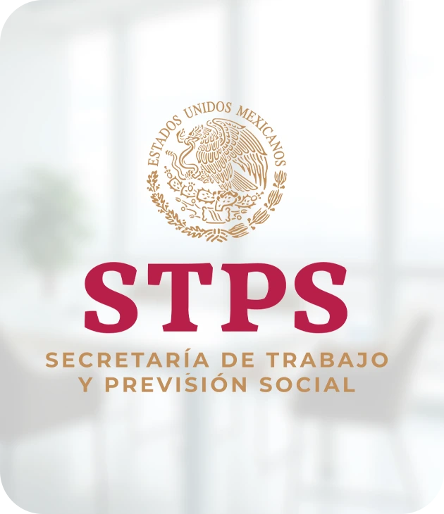 STPS México
